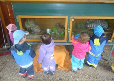 Unsere Hasen Überbetriebliche Kindertagesstätte Lörrach